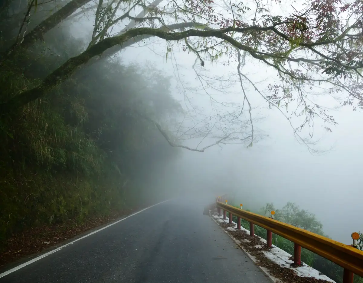 Foggy road symbolizing confusion and seeking God's direction during suffering